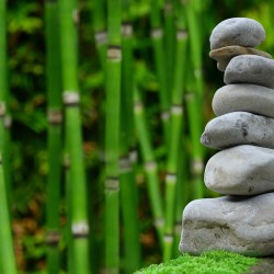 Meditatie en Mantrazang
