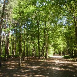 Natuur en Mystiek in Oost Zeeuws Vlaanderen