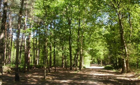 Natuur en Mystiek in Oost Zeeuws Vlaanderen