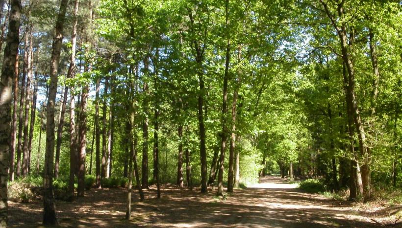 Natuur en Mystiek in Oost Zeeuws Vlaanderen