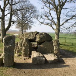 Yoga weekend 2023 – Erop uit naar de Ardennen, de natuur in!